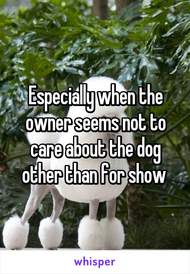 Especially when the owner seems not to care about the dog other than for show 