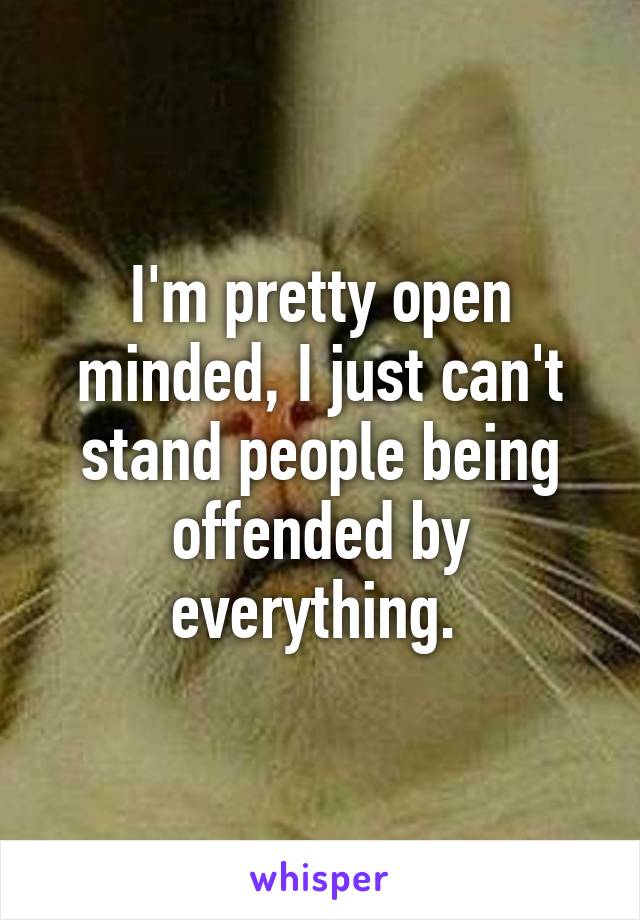 I'm pretty open minded, I just can't stand people being offended by everything. 