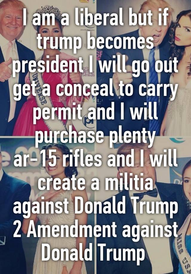 I am a liberal but if trump becomes president I will go out get a conceal to carry permit and I will purchase plenty ar-15 rifles and I will create a militia against Donald Trump 2 Amendment against Donald Trump 