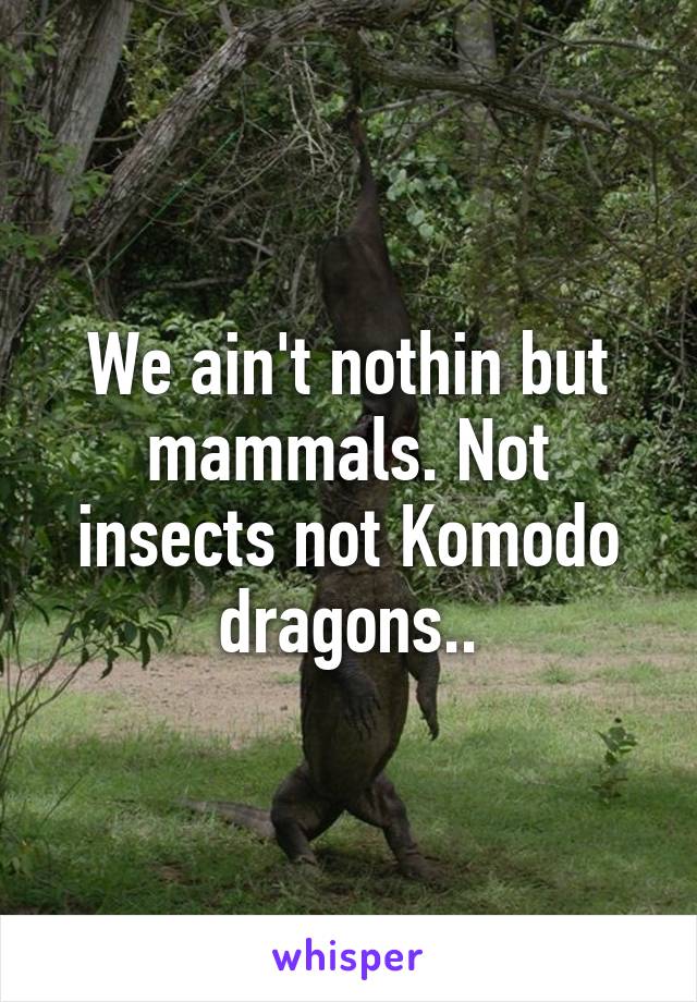 We ain't nothin but mammals. Not insects not Komodo dragons..