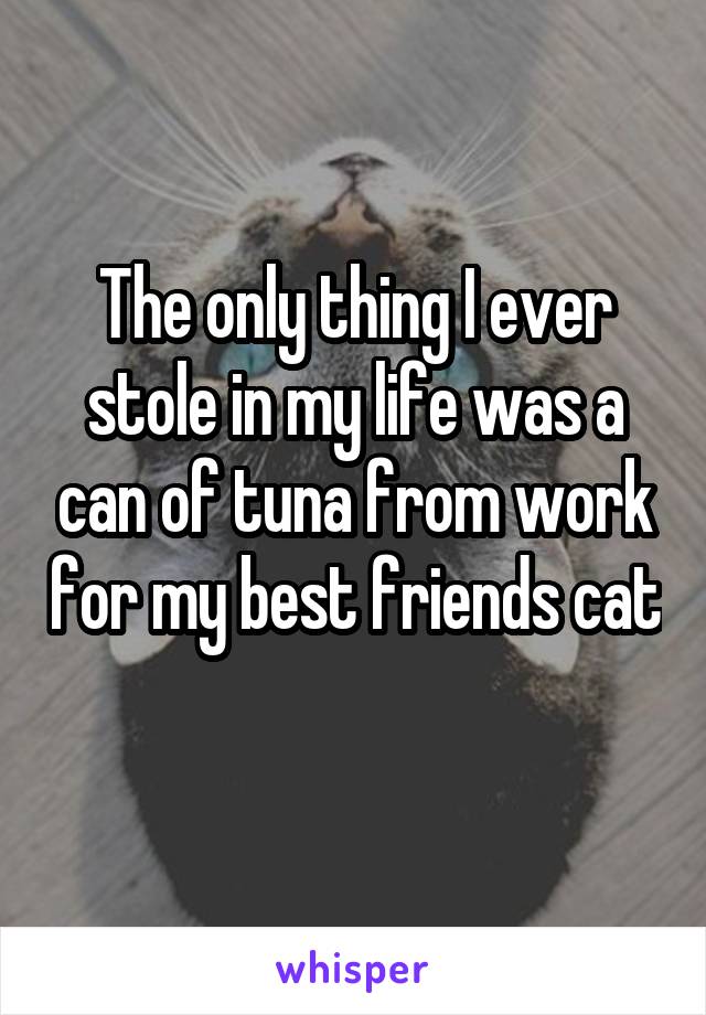 The only thing I ever stole in my life was a can of tuna from work for my best friends cat 