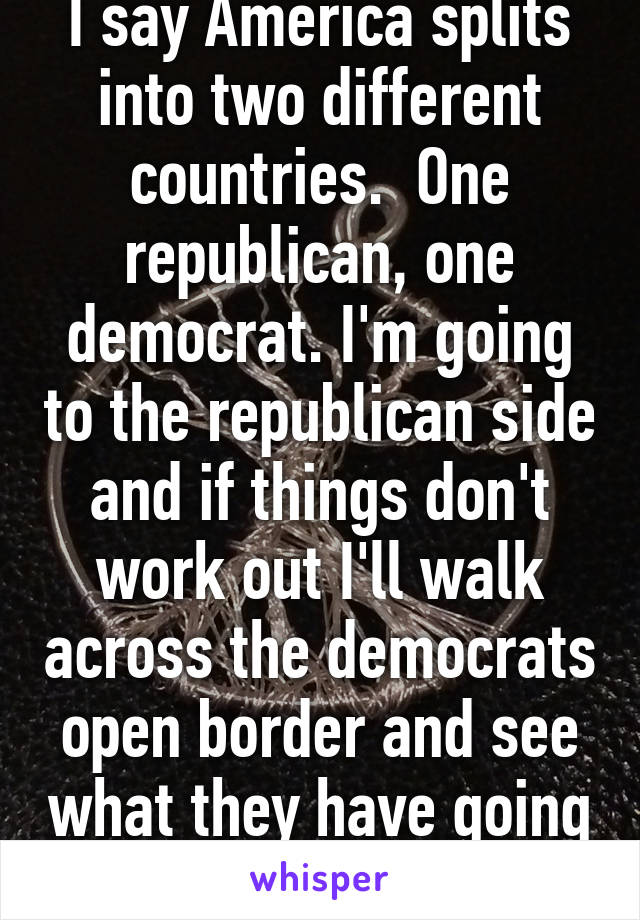 I say America splits into two different countries.  One republican, one democrat. I'm going to the republican side and if things don't work out I'll walk across the democrats open border and see what they have going on.