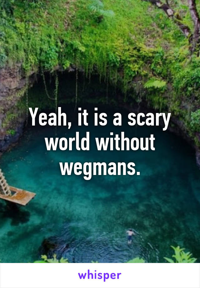 Yeah, it is a scary world without wegmans.