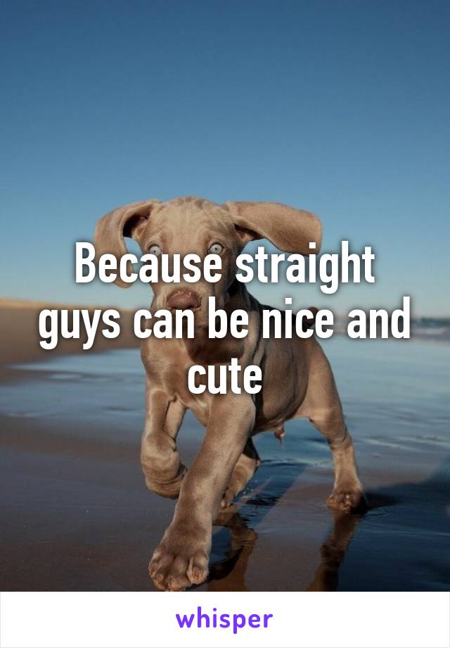 Because straight guys can be nice and cute