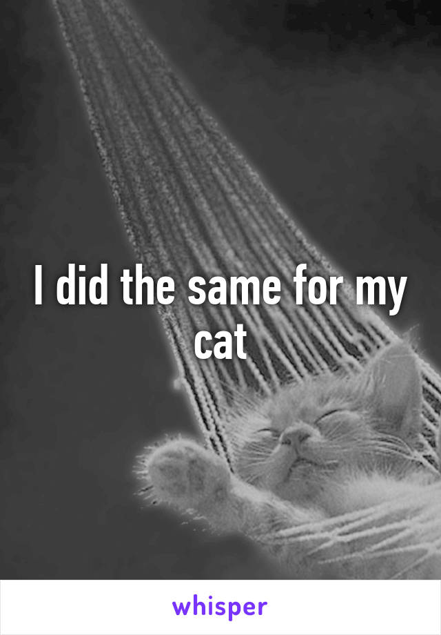 I did the same for my cat