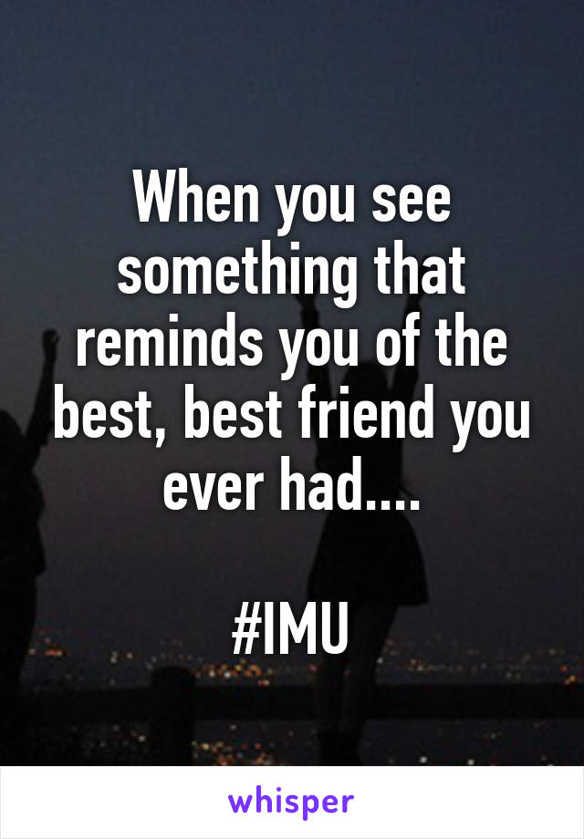 When you see something that reminds you of the best, best friend you ever had....

#IMU