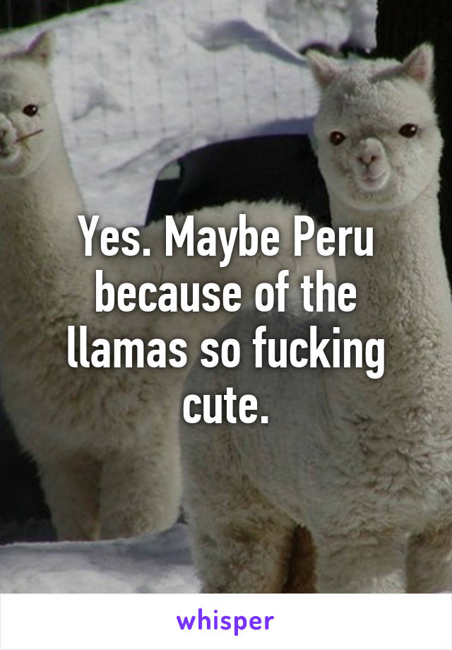 Yes. Maybe Peru because of the llamas so fucking cute.