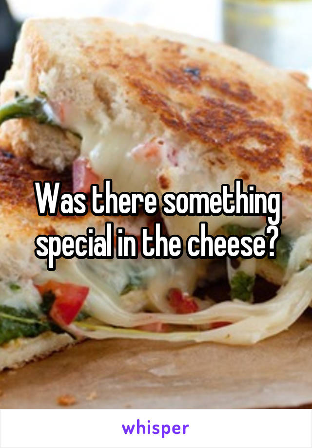 Was there something special in the cheese?