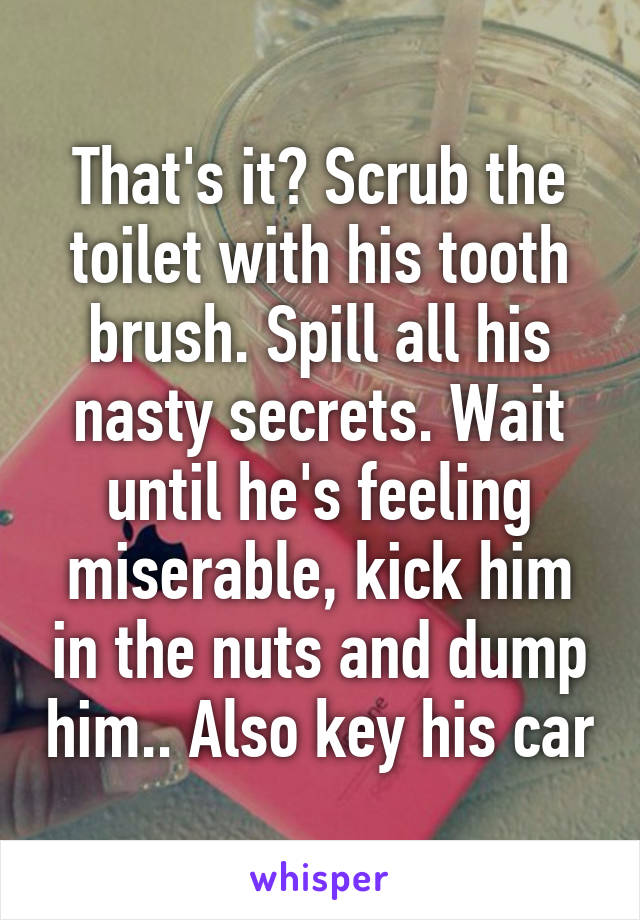 That's it? Scrub the toilet with his tooth brush. Spill all his nasty secrets. Wait until he's feeling miserable, kick him in the nuts and dump him.. Also key his car