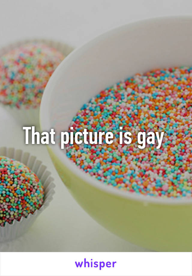 That picture is gay 