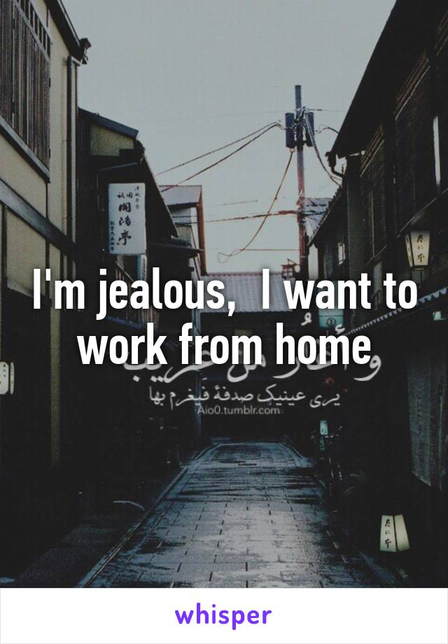 I'm jealous,  I want to work from home