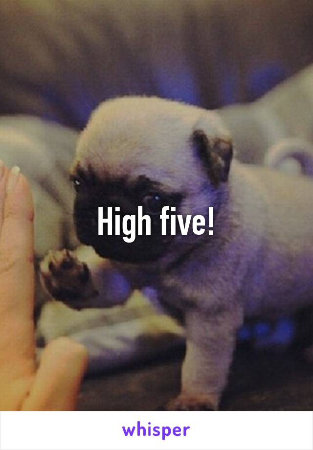 High five!