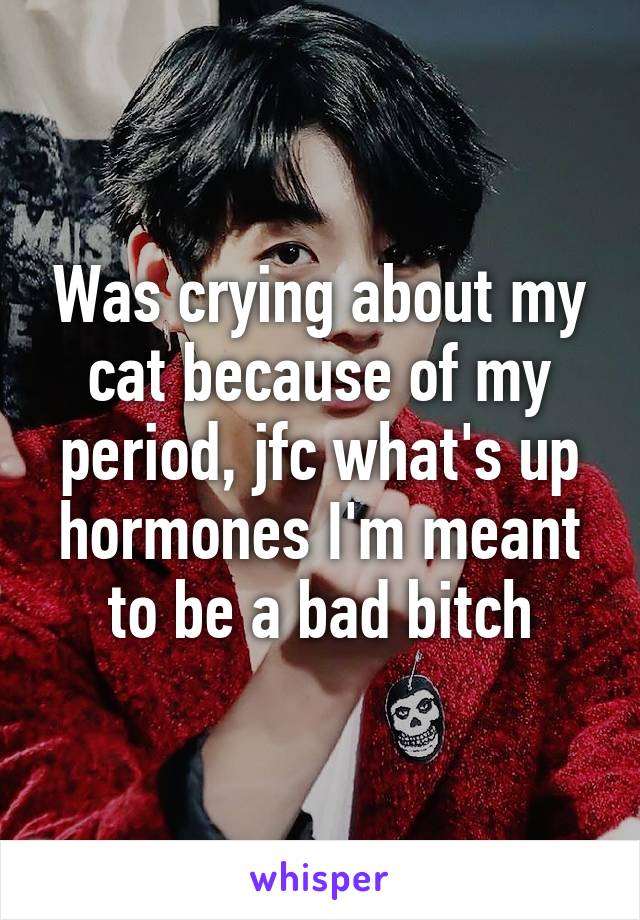 Was crying about my cat because of my period, jfc what's up hormones I'm meant to be a bad bitch