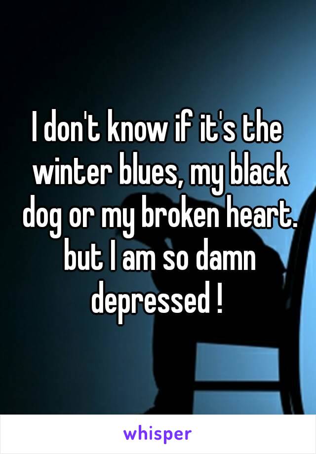 I don't know if it's the winter blues, my black dog or my broken heart. but I am so damn depressed ! 