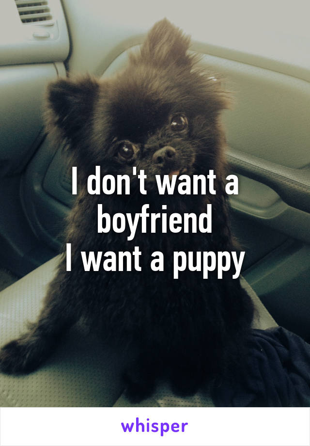 I don't want a boyfriend
I want a puppy