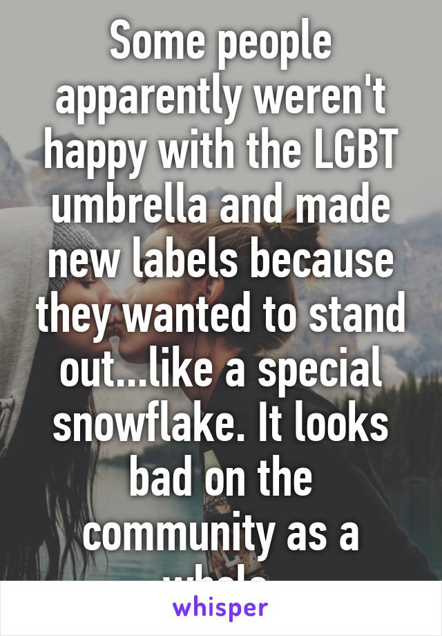 Some people apparently weren't happy with the LGBT umbrella and made new labels because they wanted to stand out...like a special snowflake. It looks bad on the community as a whole.