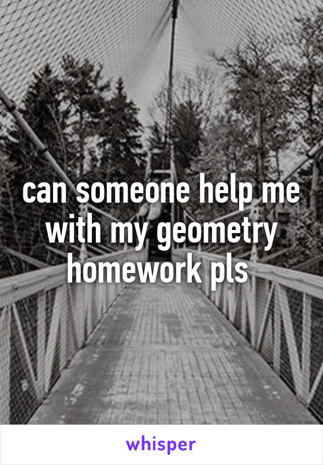 can someone help me with my geometry homework pls 