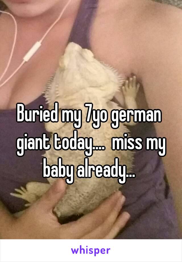 Buried my 7yo german giant today....  miss my baby already... 