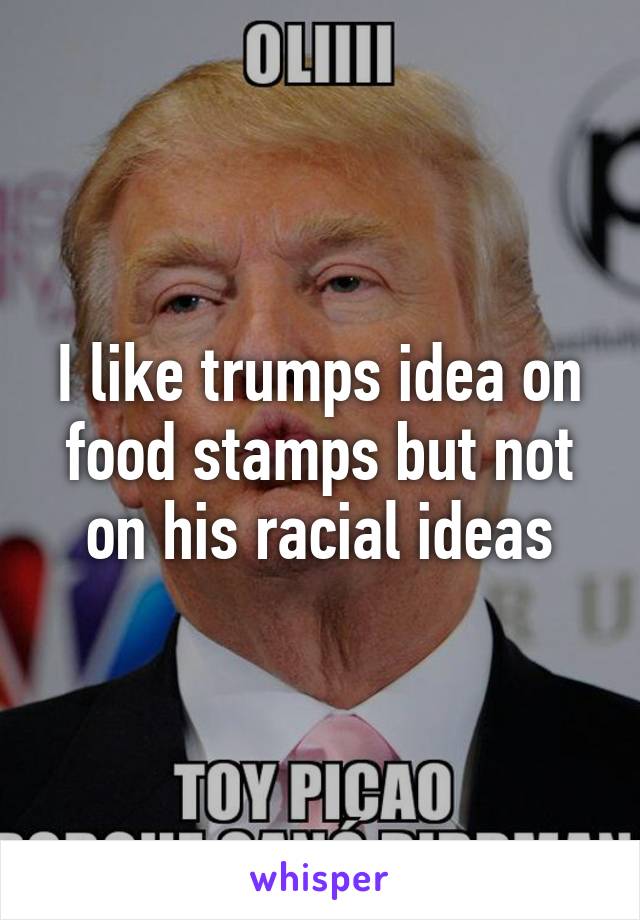 I like trumps idea on food stamps but not on his racial ideas