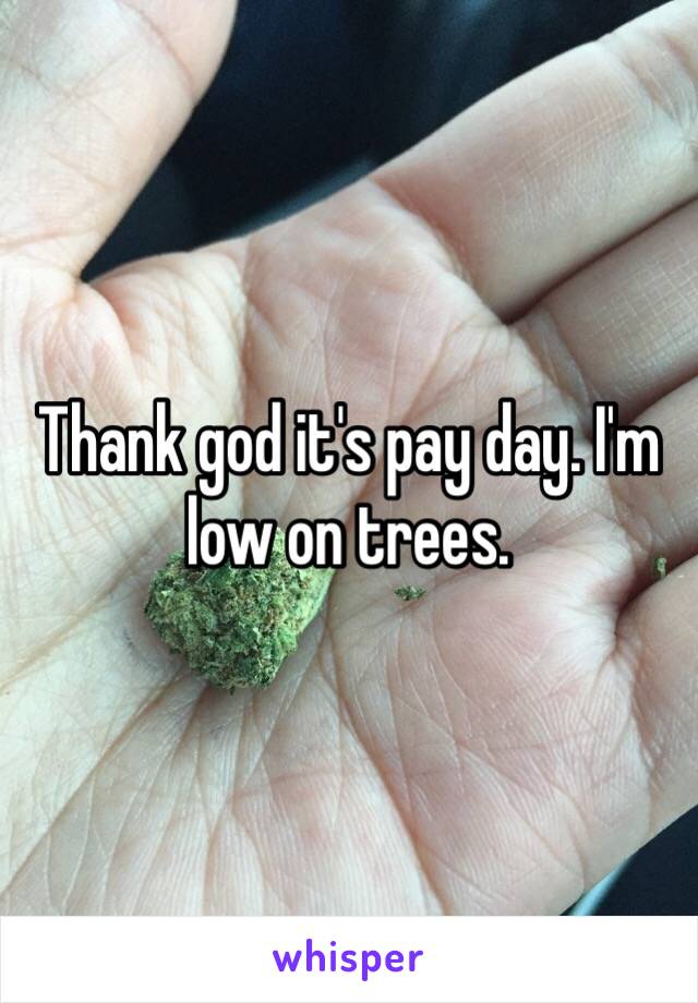 Thank god it's pay day. I'm low on trees.