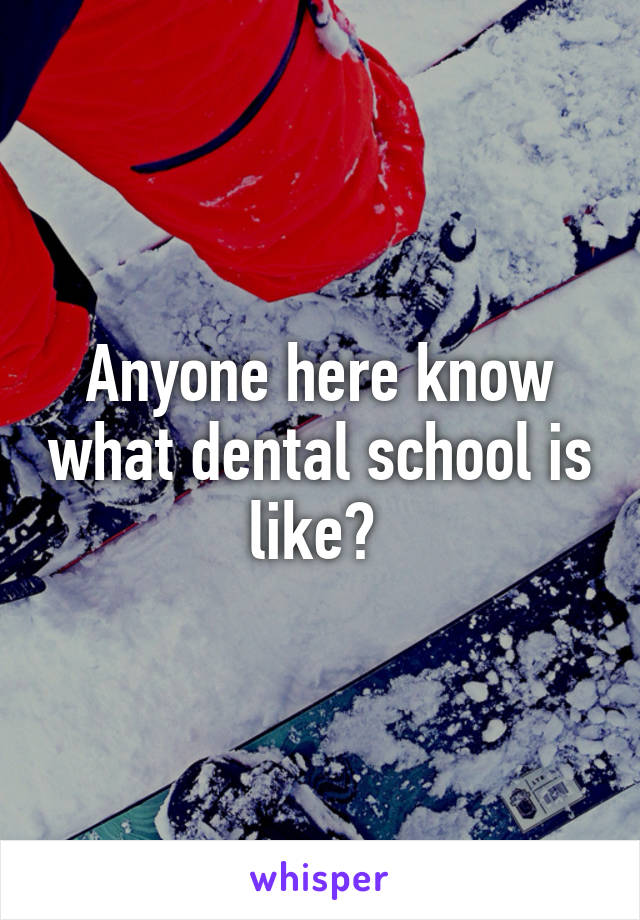 Anyone here know what dental school is like? 
