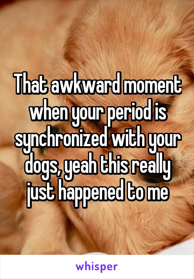 That awkward moment when your period is synchronized with your dogs, yeah this really just happened to me