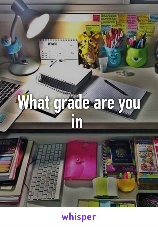What grade are you in 