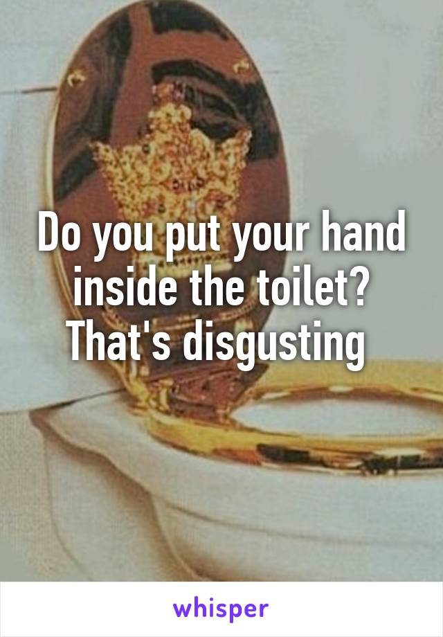 Do you put your hand inside the toilet? That's disgusting 
