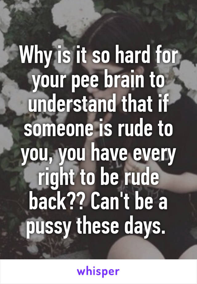 Why is it so hard for your pee brain to understand that if someone is rude to you, you have every right to be rude back?? Can't be a pussy these days. 