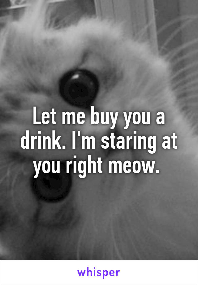 Let me buy you a drink. I'm staring at you right meow. 