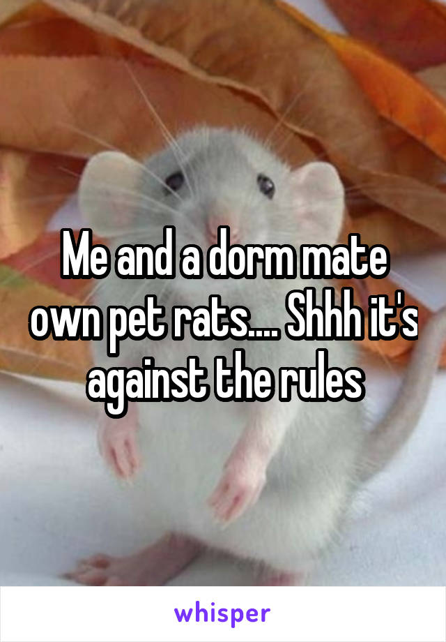 Me and a dorm mate own pet rats.... Shhh it's against the rules