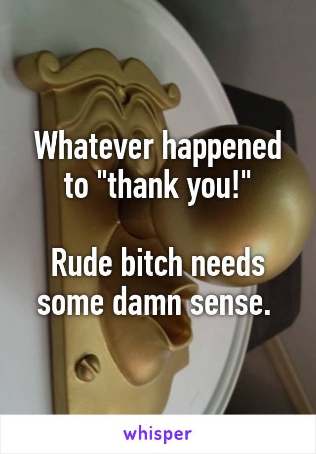 Whatever happened to "thank you!"

Rude bitch needs some damn sense. 