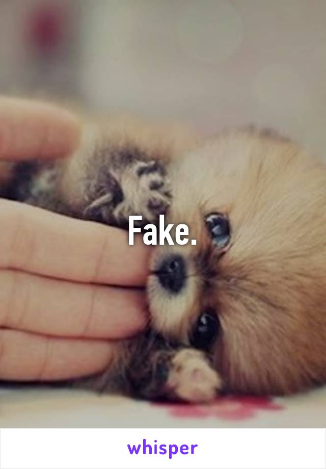 Fake.