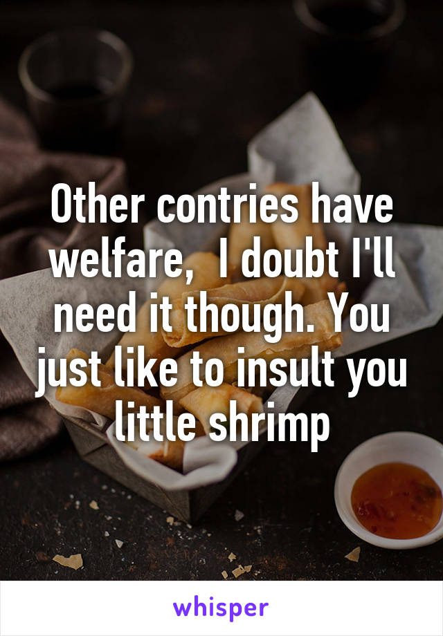 Other contries have welfare,  I doubt I'll need it though. You just like to insult you little shrimp