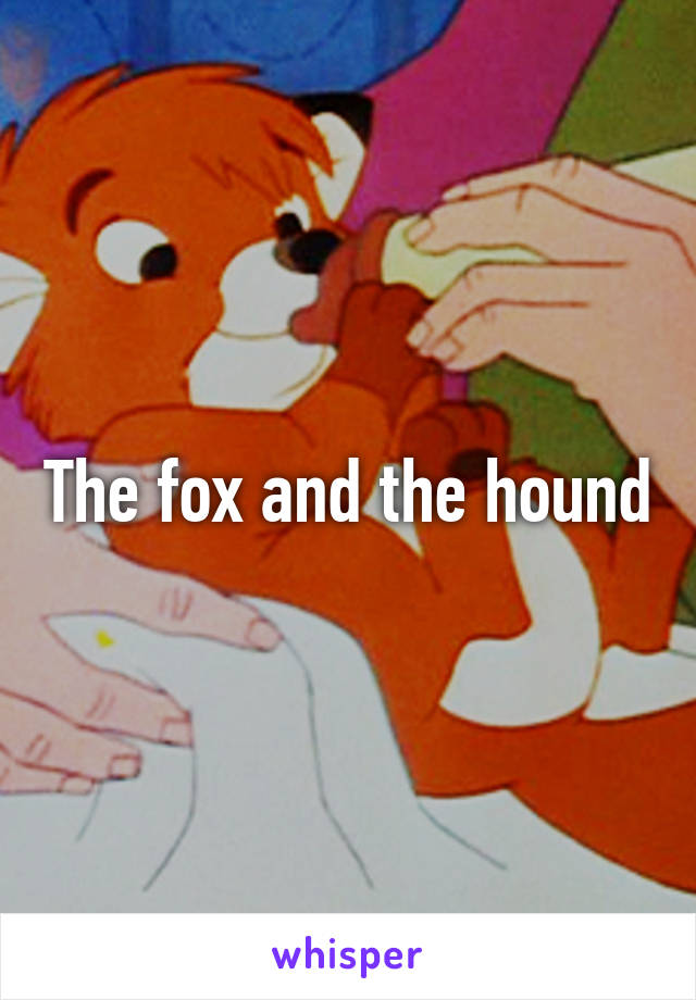 The fox and the hound