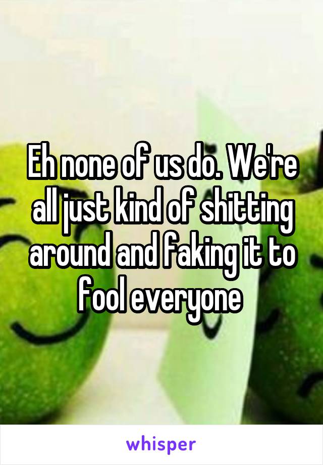 Eh none of us do. We're all just kind of shitting around and faking it to fool everyone 