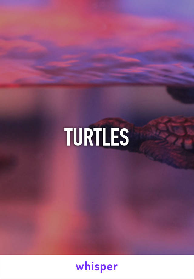 TURTLES