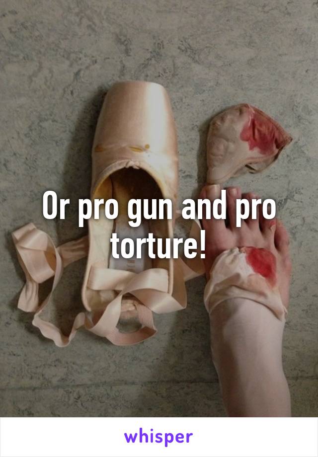 Or pro gun and pro torture!