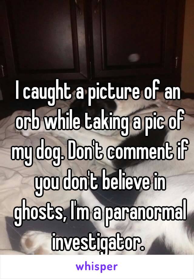I caught a picture of an orb while taking a pic of my dog. Don't comment if you don't believe in ghosts, I'm a paranormal investigator. 