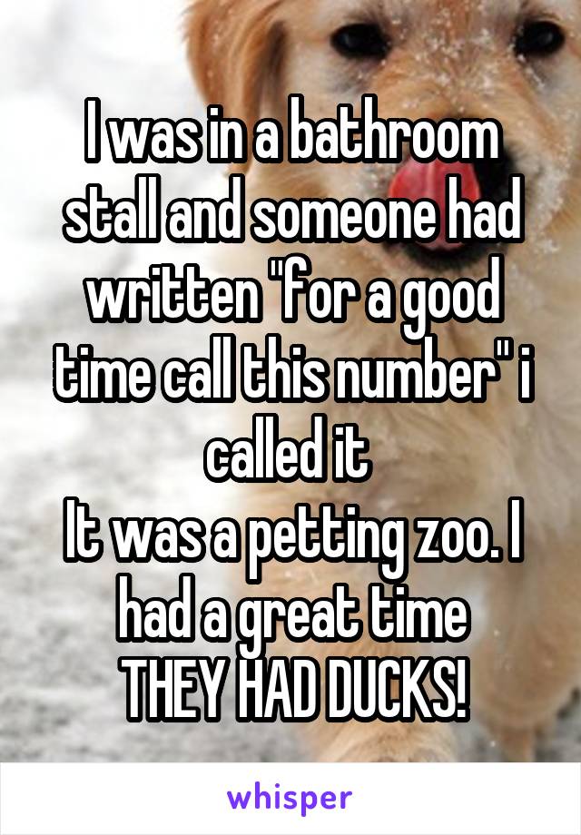 I was in a bathroom stall and someone had written "for a good time call this number" i called it 
It was a petting zoo. I had a great time
THEY HAD DUCKS!