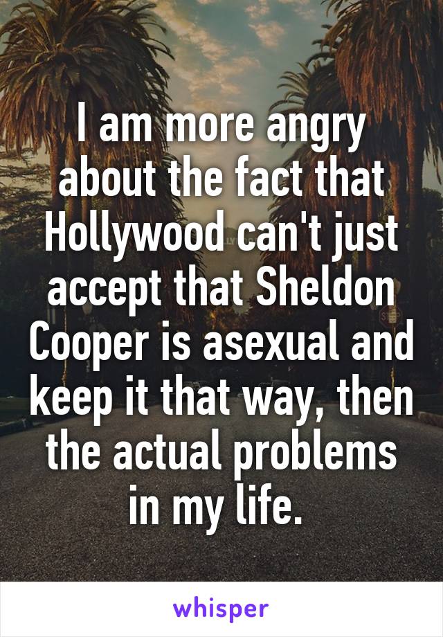 I am more angry about the fact that Hollywood can't just accept that Sheldon Cooper is asexual and keep it that way, then the actual problems in my life. 