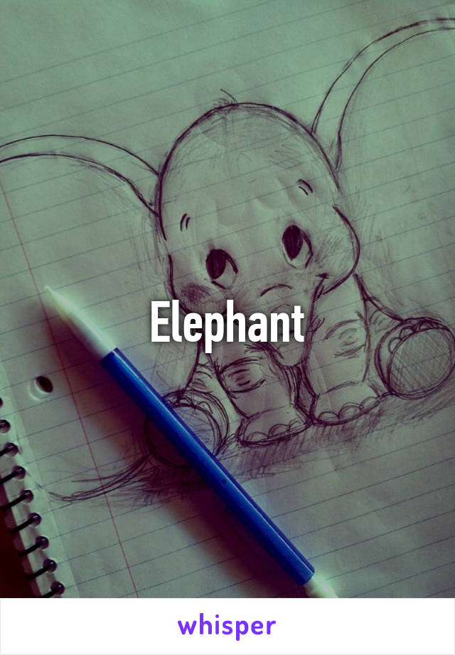 Elephant