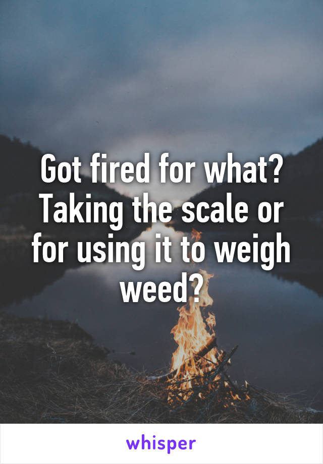 Got fired for what?
Taking the scale or for using it to weigh weed?