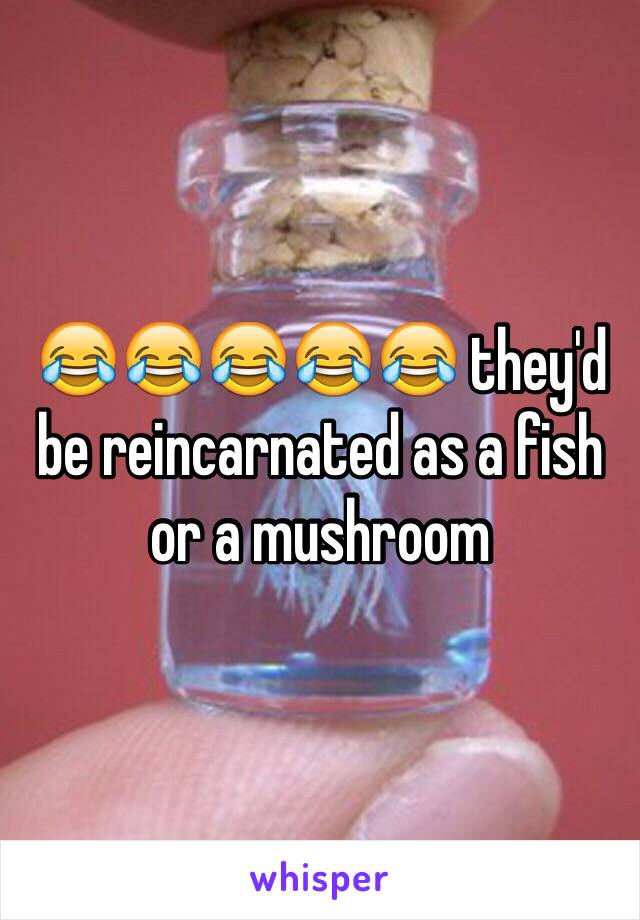 😂😂😂😂😂 they'd be reincarnated as a fish or a mushroom 