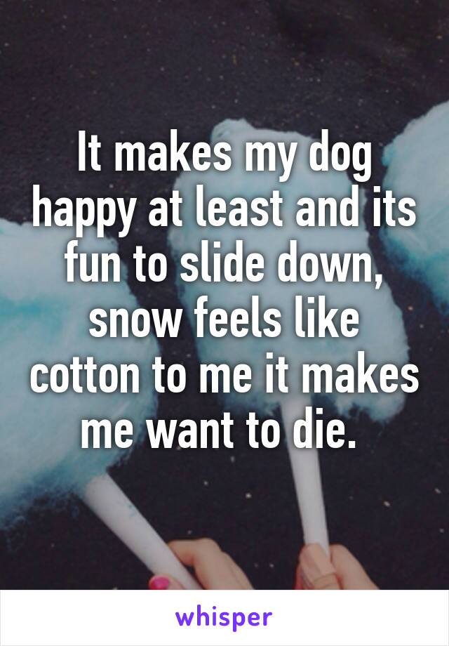 It makes my dog happy at least and its fun to slide down, snow feels like cotton to me it makes me want to die. 
