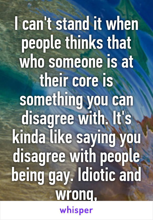 I can't stand it when people thinks that who someone is at their core is something you can disagree with. It's kinda like saying you disagree with people being gay. Idiotic and wrong,