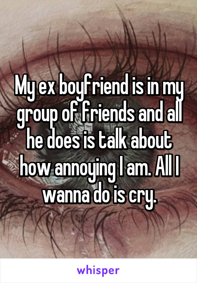 My ex boyfriend is in my group of friends and all he does is talk about how annoying I am. All I wanna do is cry.