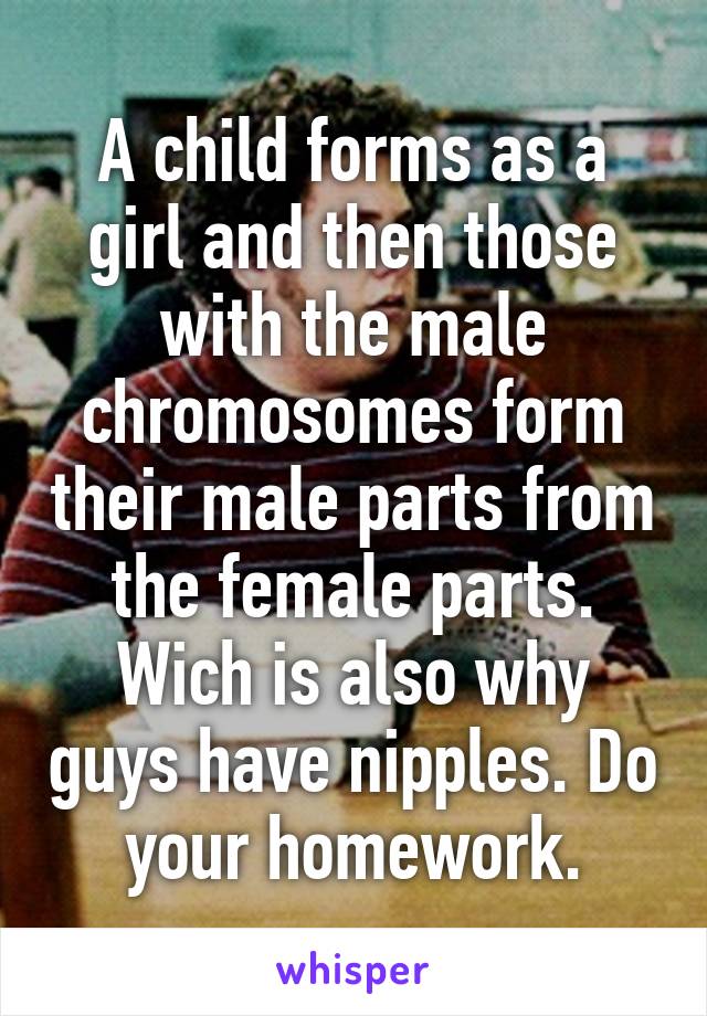 A child forms as a girl and then those with the male chromosomes form their male parts from the female parts. Wich is also why guys have nipples. Do your homework.