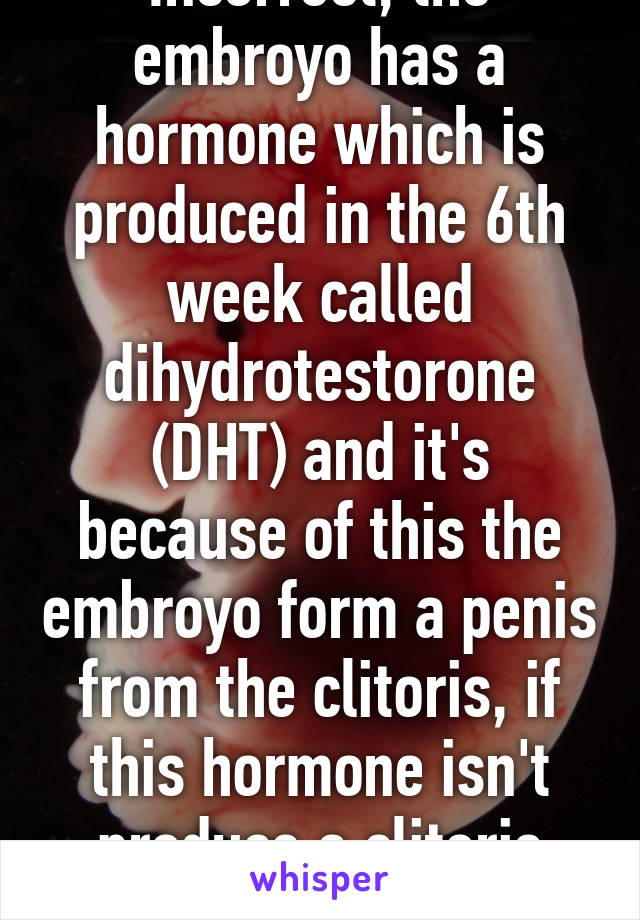 Incorrect, the embroyo has a hormone which is produced in the 6th week called dihydrotestorone (DHT) and it's because of this the embroyo form a penis from the clitoris, if this hormone isn't produce a clitoris remains as it is.