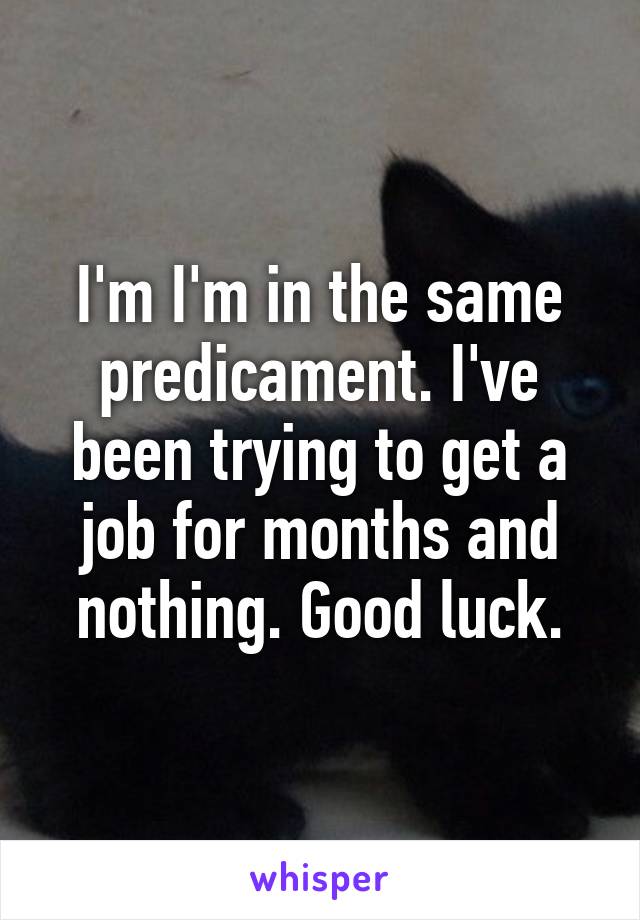 I'm I'm in the same predicament. I've been trying to get a job for months and nothing. Good luck.